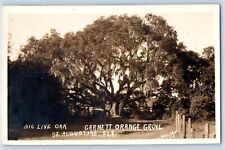 St. Augustine Florida FL Postcard RPPC Photo Big Live Oak Garnett Orange Grove picture
