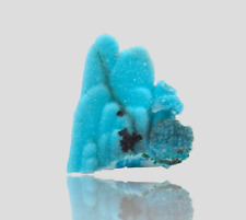 NEW FIND CHRYSOCOLLA PSD GYPSUM, DRC, Miniature Mineral Specimen picture