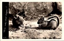 1940's Squirrels 
