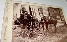 Rare Antique Victorian American Men in Horse Carriage Roseboom, NY Cabinet Photo picture