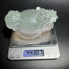 crystals rocks fossils minerals mythical creature dragon  picture