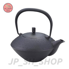 IKENAGA Nanbu Tekki 粋 SUI Japanese Cast Iron Teapot 0.45L w/tea strainer NEW picture