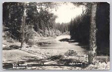 Postcard Eel River Along The Redwood Highway California Vintage RPPC Unposted picture