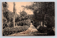 c1907 Promenade at Tampa Bay Hotel Tampa Florida FL Postcard picture