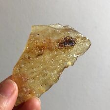 Natural Genuine Old Baltic Amber Rare Found Untreated Gemstone 18g d207 picture