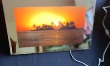 Vintage Light Up Sunset Palm Motion Rippler Beach Mirror  Wave Sounds artwork  picture