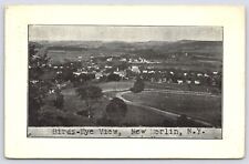 NY New Berlin, Bird's Eye View, UDB Posted 1909 picture