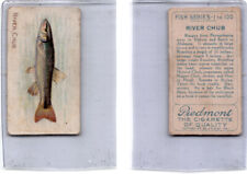 T58 American Tobacco, Fish, 1910, River Chub (A44) picture