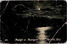 Moonlight on the Muskingum River, Marietta, Ohio OH Postcard picture