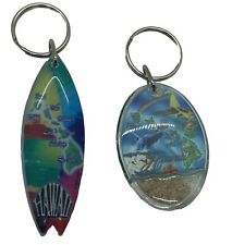 HAWAII~Keychain~Key Ring~Zipper Pull Acrylic~Fob~State Souvenirs~Set Of Two picture