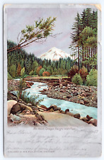 c1905 Mt Hood Oregon Height 11,225 Feet Vintage OR Posted UDB Postcard picture