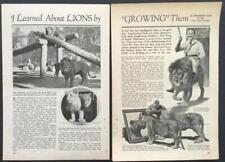 Gay's Lion Farm 1933 article “I Learned About Lions by Growing Them” El Monte CA picture