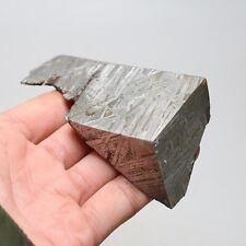 242g Muonionalusta meteorite part slice  A2140 picture