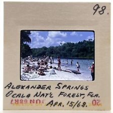35mm Slide Beach Scene at Alexander Springs Florida Vtg 60s #1 picture