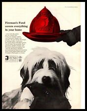 1966 Fireman's Fund American Insurance Fire Helmet Bearded Collie Dog Print Ad picture