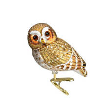 Pygmy Owl Ornament picture