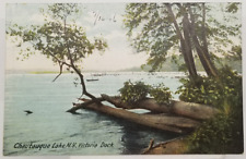 1906 Scenic View Victoria Dock Boats Chautauqua Lake New York Postcard picture