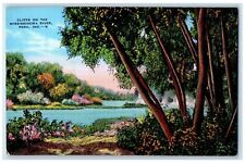 Cliffs On The Mississinewa River Peru Indiana IN, Nature Scene Vintage Postcard picture