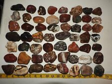 Lot of 🌈 Medium RAINBOW MIXED STONES 10lbs Rock. Agate, Jasper, Chert, Pet Wood picture