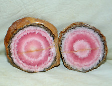 Pair Rhodochrosite Stalactite * from Argentina * picture