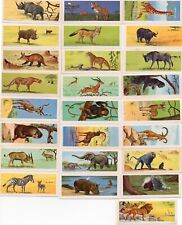 1964 sugar daddy AFRICAN WILD ANIMALS - FULL SET - VERY NICE picture