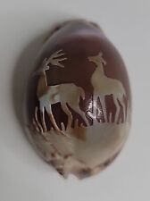 Carved Shell~pair Of Deer~FREE SHIPPING picture