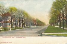 LUDINGTON MI - East Ludington Avenue - 1910 picture