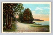 Mackinac Island MI-Michigan British Landing Horse in Distance Vintage Postcard picture