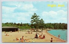 1960s Moffitt Beach Bathers Sacandaga Lake Vtg Speculator New York NY Postcard picture