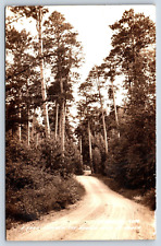 Postcard WI RPPC West Bend Dirt Road Through Wooded Land Up North Old Car E3 picture