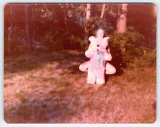 Vintage Photo Girl Holding Big Pink Teddy Bear 1970's Found Art DST7 b picture