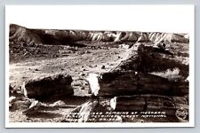 c1940s RPPC Remains of Mesozoic PETRIFIED Forest Nat'l Monument VINTAGE Postcard picture
