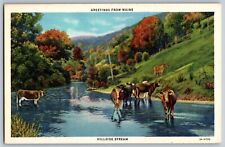 Maine ME - Greetings from Maine - Hillside Stream - Vintage Postcard - Unposted picture