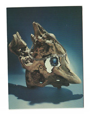 The Bismark Sapphire National Museum of Natural History Postcard picture