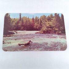 Lower Michigan -Tahquamenon Falls- Upper Peninsula Logging Postcard Posted 1951 picture