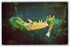 St Petersburg Florida Postcard Weeki Wachee Underwater Grand Canyon Musical 1962 picture