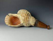 Japanese Horagai Conch Shell Trumpet Buddhist Monk or Samurai Horn L.14.9in/38cm picture