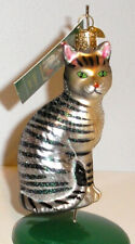 2019 OLD WORLD CHRISTMAS - TABBY CAT - BLOWN GLASS ORNAMENT - NEW picture