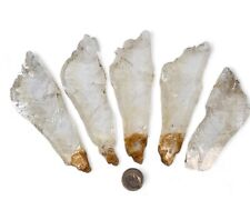 Golden Healers Phantom Selenite Crystals Utah 204 grams. 5 Piece Lot picture
