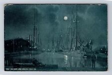 Erie PA-Pennsylvania, Anchor Line Docks, Moonlight, Vintage c1908 Postcard picture