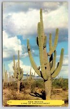 New Mexico Land Enchantment Desert Cactus Mountains Cancel WOB Vinatge Postcard picture
