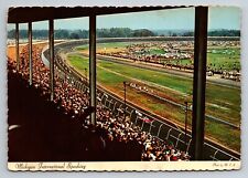 Michigan International Speedway Irish Hills Vintage Unposted Postcard picture