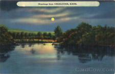 1941 Greetings From Oskaloosa,KS Jefferson County Kansas Linen Postcard 1c stamp picture