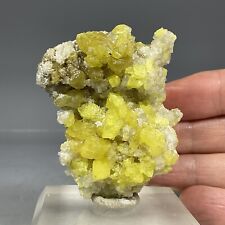 SS Rocks - Sulphur with Calcite (Maybee, Michigan) 63g picture
