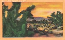 Postcard Joshua Trees on the Desert Mojave Desert in the Southwestern US picture