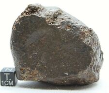 meteorite incredible show piece, meteorite 209 gram gorgeous meteorite, SPACE  picture