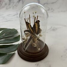 Vintage 70s Butterfly Taxidermy Cloche Glass Dome Decor Piece Dried Flowers Boho picture
