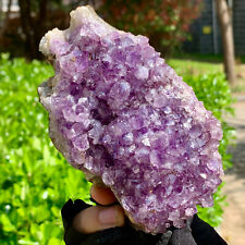 1.14LB  Very Rare Natural Amethyst Flower Cluster Specimen Healing picture