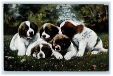 1907 Four Cute Puppies Dogs Studio Portrait Lake Charles Louisiana LA Postcard picture