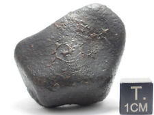 62.1 g NWA x Unclassified Chondrite Meteorite picture